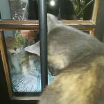 شقة Nadashaz *