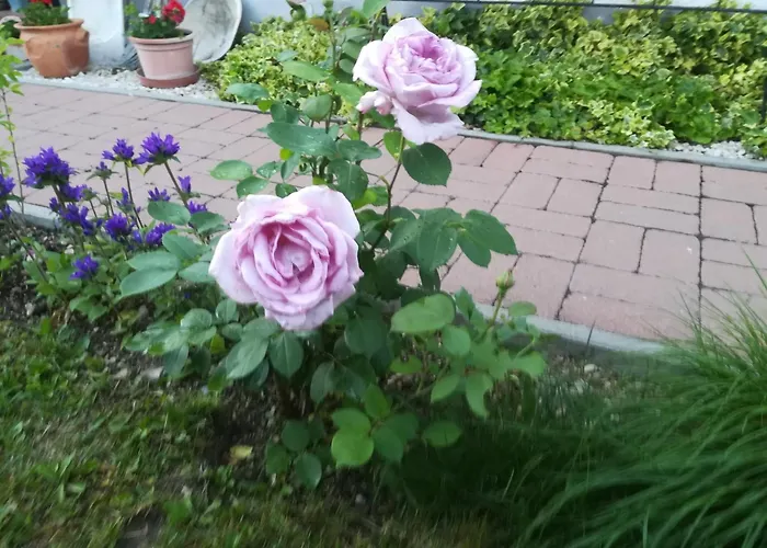 Nadashaz Lägenhet *