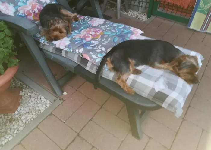 Nadashaz Apartman Gyenesdiás